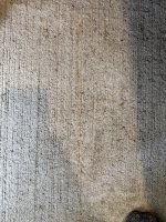IMG_9398.jpeg
