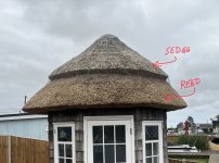 IMG_9944.jpeg