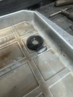 IMG_3435.jpeg IMG_3435.jpeg