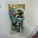 IMG_9461.jpeg