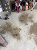 IMG_4599.jpeg IMG_4599.jpeg