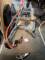 IMG_0249.jpeg