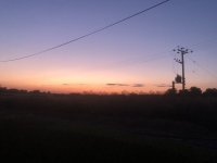 IMG_8178.jpeg