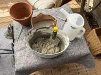 IMG_0398.jpeg IMG_0398.jpeg