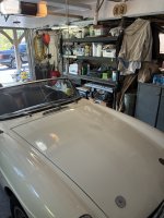 IMG_8450.jpeg