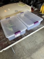 IMG_8459.jpeg