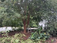 IMG_3167.JPEG IMG_3167.JPEG