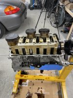 IMG_7663.jpeg IMG_7663.jpeg