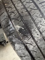 IMG_4792.jpeg