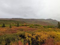 PXL_20260905_160022495.jpg