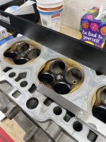 IMG_7840.jpeg IMG_7840.jpeg