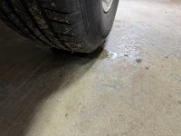 IMG_2956.jpeg