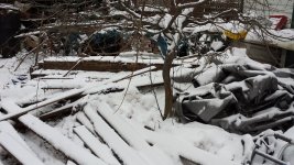 20131217_090335.jpg