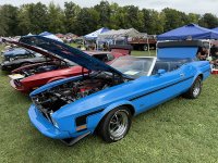 55531679216_0daf4f707f_c.jpg