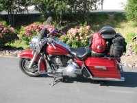 IMG_3129.JPG