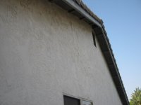 IMG_2595.JPG