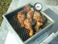 Chicken01.JPG