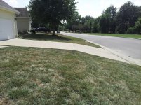 driveway.jpg