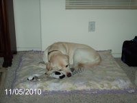 PICT0001.jpg