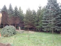 IMG_20120505_103654.jpg
