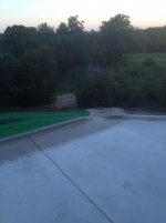 backyard 3.jpg