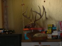 DSCF0264.jpg