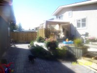 gghousehollo 022.jpg