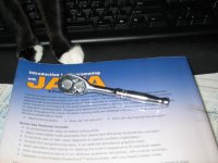 IMG_2260.jpg