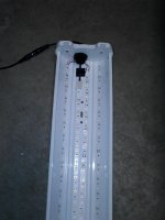 CAM00761.jpg