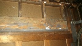 Termite Header 3.jpg