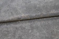 IMG_6920.jpg