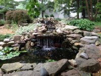 IMG_0331.jpg