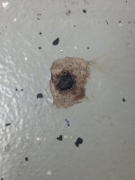 Floor.jpg