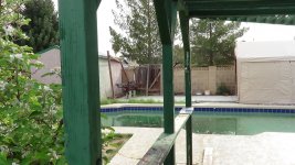 010.jpg