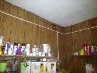 IMG_1363.jpg