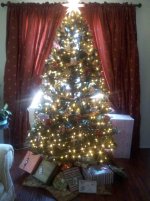tree.jpg
