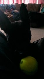WP_20140328_010.jpg