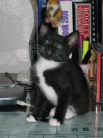 IMG_1839.jpg