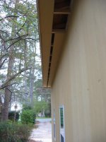 IMG_4671.jpg