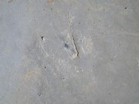 IMG_8900.jpg