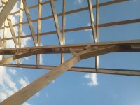 IMG_20130619_170831.jpg