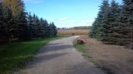 Down the driveway a.jpg
