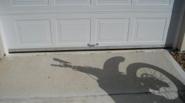 IMG_6354.jpg