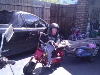 ALL Photos 8704.jpg