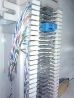 P82A0245.jpg