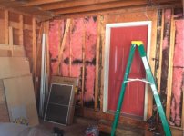 Moldy insulation 2.jpg