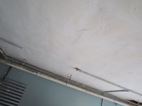 IMG_0430.jpg