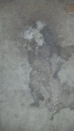IMG_20140123_074653_074.jpg