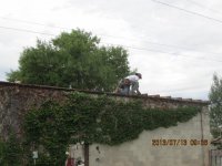 IMG_0914.JPG