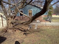 VISE TREE.jpg